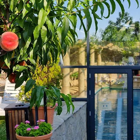 Wine & Complex Hotel 3*