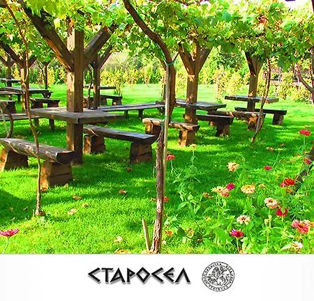 Wine & Complex Starosel