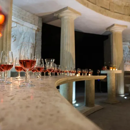 Wine & Complex 酒店 斯塔罗塞尔