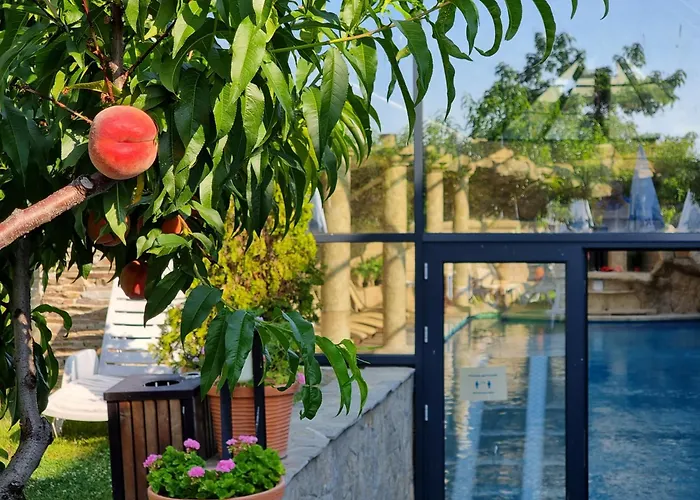 Wine & Complex Szálloda 4*